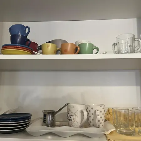 New Formula סראייבו