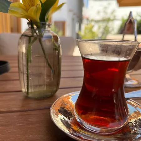 New Formula شقة *